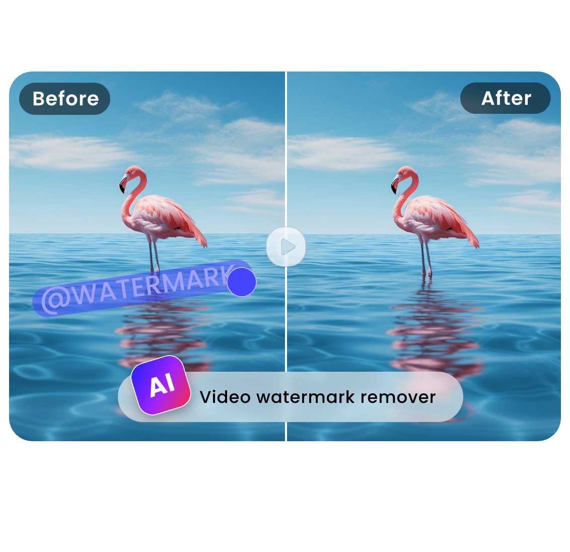 Remove Text From Video